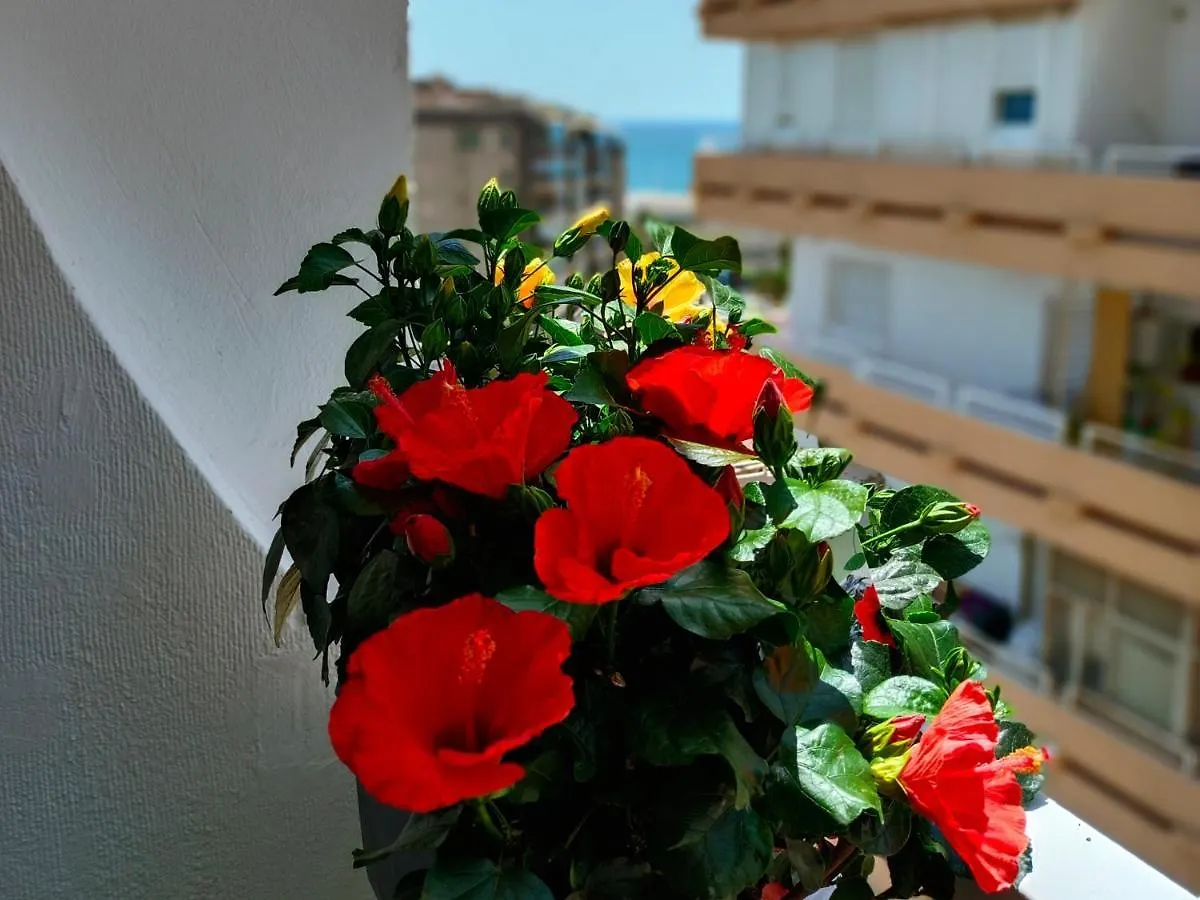 Apartamento Artes de Arcos Almería España